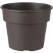  простой pot 8 номер темно-коричневый Apple одежда - возвращенный товар вид другой A