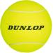  Dunlop medium мяч ( желтый ) возвращенный товар вид другой A