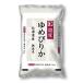 ������ �k�C���Y��߂҂肩 5kg �ɒO�� �ԕi���B