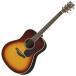  Yamaha акустическая гитара ( Brown солнечный Burst ) YAMAHA LL серии LL6-BS возвращенный товар вид другой A