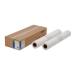  Epson обыкновенная бумага roll ( тонкий *594mm×50m*2 шт. входит .) EPPP64A1 возвращенный товар вид другой A