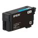 ץ ν 󥯥ȥå(M) EPSON SC13CM ʼA