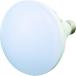 ȥ饹滳 LED 20W LED ȥ饹滳 RTL-20W ʼB