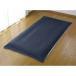  запад река (nishikawa) сделано в Японии хлопок 100% кровать futon покрытие ME00( одиночный * sax / темно-синий ) mee(mi-.) 2187-01472-200 возвращенный товар вид другой B