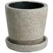  Dulton (DULTON) цвет серый zdo pot 5 номер ( слоновая кость ) CH14-G518IV COLOR GLAZED POT IVORY 45-093262 возвращенный товар вид другой B
