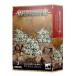 �����ॺ�������å� MAGGOTKIN OF NURGLE: NURGLINGS �ޥ��åȥ��󡦥������ʡ����롧�ʡ�����󥰥������ϥ�ޡ� ���ʼ���B