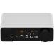TOPPING compact ge-mingDAC/ AMP( белый ) TOPPING DX1-2WH возвращенный товар вид другой A