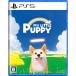 SHINSEGAE I&C (. входить дополнительный подарок )(PS5)My Little Puppy( мой little papi-) обычная версия возвращенный товар вид другой B