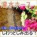 . вода шланг KH-10 огород семья сельское хозяйство . поле двор шланг разбрызгивание воды 