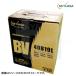 GS YUASA ( �W�[�G�X���A�T ) BV�V���[�Y �X�^���_�[�h�o�b�e���[ BV-55B24L