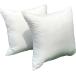 �k�[�h�N�b�V���� ���g 45 45 cm 2�Z�b�g ���{�� �N�b�V����  �ӂ��� �w���ăN�b�V���� �Z�A�e�N�b�V���� �w���� 45x45 2�� �Z�b�g �֘A�摜1