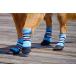 Bark Brite New Lightweight Neoprene Paw Protector Dog Boots Designed for Co
