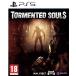 Tormented Souls ( импорт версия ) PS5 [video game]