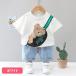 �x�r�[�� �㉺�Z�b�g �j�̎q ���̎q �� 80 90 100 110 120 �Z�b�g�A�b�v T�V���c ���� �N�} ���� �q���� �֘A�摜1
