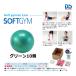 �_���m �\�t�g�M���j�N10�O���[�� 10��1�g (A-1) D-5404 ��2023NP��
