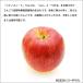 �k�M�B�̃V�i�m�X�C�[�g��񂲁i�ƒ�p�j�T���� �������� �֘A�摜1