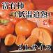 �x�L�`�i�ቷ�Ǐn�j�Q�k�T�C�Y
