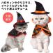  шляпа & манто Halloween FCZY собака кошка домашнее животное одежда костюмная одежда Mahou Tsukai . женщина собака для кошка для манто шляпа кошка одежда собака одежда европейская одежда фотосъемка 