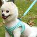  собака Harness шлейка маленький размер собака средний собака большой собака выпадение нет .. трудно .. предотвращение Lead кошка домашнее животное средний собака одежда одежда Harness шлейка кошка 