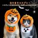  Halloween домашнее животное собака кошка FCZY тыква костюм мульт-героя тыква шляпа нагрудник головной убор костюм FCZY интересный костюм шляпа тыква шляпа 