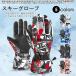  ski glove men's waterproof gloves lady's ski glove snow glove snowboard gloves stylish water-repellent protection against cold . manner with pocket smartphone Touch possibility 