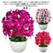 . butterfly orchid artificial flower photocatalyst 14ps.@.. celebration volume white red pink flower pot opening .. festival .. see Mai . art flower table size large .