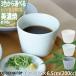 �����Ȃ� sazanami �����J�b�v ���Β��� 8.5�~6.5cm 200cc 140g 3�F����I�ׂ� ���M�͕ʔ� �� �� �u���[�O���[ �[�� �t���[�J�b�v �t���[�c �{�E�� ��
