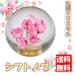 �ی^ �V�t�g�m�u �g���b�N �ėp ������ �s�b�`�ϊ� �A�_�v�^�[�t�� �s���N �N���X�^���V�t�g�m�u