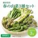  дикоросы 3 вида комплект гора. .. Okayama префектура производство Fuki no Tou ... .......... наш магазин случайный время ограничено 