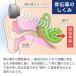 ���`�� �W���� USB�[�d�� �������` �� PREMIUM Type-C �f�W�^���i�������K�i�j�����x �s���}�C�N �v���~�A�� ���h�J�o�[�t �ӂ��݂݁i�����jJTT�I�����C�� �֘A�摜5
