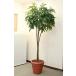  decorative plant fake green artificial flower used office furniture 