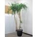  office green decorative plant large used office furniture 
