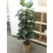  fake green office green decorative plant artificial flower used office furniture 