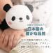 ���g�� ratomo ���{�� �K���K�� Baby �􂦂� ���OK �o�Y�j�� �v���[���g �ӂ��� �֘A�摜1