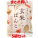  Sakura . еда неочищенный рис ... хлебная мука 100g×5 пакет комплект массовая закупка 