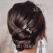 ������ 3�_�Z�b�g �w�A�s�� U�s�� ���񂴂� �p�[�� ������ ���l�� ���Ǝ� ���\�� �a�� �m�� ���� ������ �U�� �K�⒅ �F�Ŋ| �� ���� ���� �V���o�[