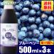 �����I �ʏ`100�� �u���[�x���[�W���[�X 500ml�~3�{�� ���Y�� ���� ���[�J�[���� �X�g���[�g �u���[�x���[ �֘A�摜1
