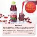 �N�����x���[ �W���[�X �@�\���\���H�i ���Y�� �N�����x���[100 500ml�~6�{  (�r�A�̈�ɂ����ē��{���̋@�\���\���H�i) �ʏ`100�� �����I ���� �L�i�_ �֘A�摜3