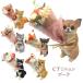 CT Mini .n bouquet Mother's Day gift CT catalyst bouquet . flower gift ornament objet d'art artificial flower lovely stylish cat cat dog dog animal animal deodorization anti-bacterial . is dirty 