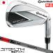 �e�[���[���C�h �X�e���X �A�C�A�� �P�i�i5I�CAW�CSW�j �����Y �E�p TENSEI RED TM60 ('22) �J�[�{���V���t�g STEALTH IRON ���{���K�i 2022�N4������