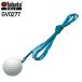 tabata Golf Tabata GOLFhimo есть мяч ( запасной ) GV0277