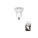 [LDR5L-W-E11/4] Toshiba LED лампа галоген лампа форма наша компания Neo - лобби m100W форма соответствует широкоугольный модель TOSHIBA