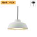 [DPN-41421Y]DAIKO подвесной светильник ( фланец модель ) лампа есть не style свет * лампа цвет большой свет электро- машина 