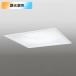 �yOD266019R�z�I�[�f���b�N �V�[�����O���C�g 10�� LED��̌^ �d���F-�����F ���F�E������s�� �����R���t �� ODELIC