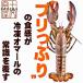 カナダ東海岸産天然オマール海老特大400／450ｇサイズ身がギッシリ詰まった時期を厳選してお届け 　