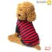 �� �� �H�~ �H �~ �� �킯����i ���� ���̕� ������� �J�b�g�\�[ T�V���c �{�[�_�[ ������ �h�o�Y dobaz �h�b�O�E�F�A