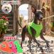 i бирка re Harness собака PUPPIApa Piaa neon soft лучший Harness собака для Harness итальянский серый - undo маленький размер собака шлейка сетка лучший type легкий модный ..