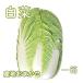  Chinese cabbage domestic production production ground incidental 1 box 15kg.. vegetable saucepan vegetable [ free shipping ( one part region ..)] 4~8 sphere entering one box temperature vegetable saucepan thing vegetable 