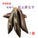  Miyazaki prefecture production . earth . eggplant eggplant nas. earth .nas wonderful nas.. eggplant .1 sack domestic production vegetable free shipping ( one part region excepting )] vegetable 