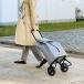 [ ограничение специальная цена ]rep518342 наан si- покупка Cart BK черный 31L